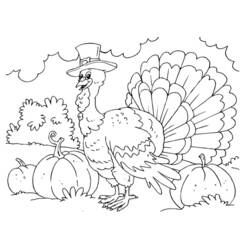 Coloring page: Turkey (Animals) #5399 - Free Printable Coloring Pages