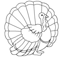 Coloring page: Turkey (Animals) #5427 - Printable coloring pages