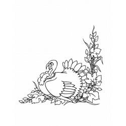 Coloring page: Turkey (Animals) #5439 - Free Printable Coloring Pages