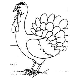Coloring page: Turkey (Animals) #5443 - Printable coloring pages