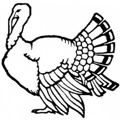 Coloring page: Turkey (Animals) #5447 - Free Printable Coloring Pages