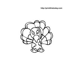 Coloring page: Turkey (Animals) #5456 - Free Printable Coloring Pages