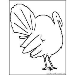 Coloring page: Turkey (Animals) #5465 - Free Printable Coloring Pages