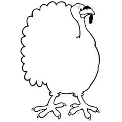 Coloring page: Turkey (Animals) #5470 - Free Printable Coloring Pages