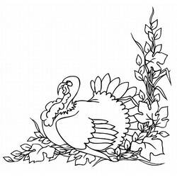 Coloring page: Turkey (Animals) #5478 - Free Printable Coloring Pages