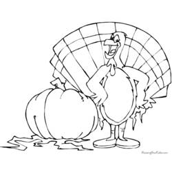 Coloring page: Turkey (Animals) #5483 - Free Printable Coloring Pages