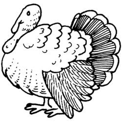 Coloring page: Turkey (Animals) #5486 - Free Printable Coloring Pages