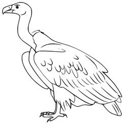 Vulture (Animals) coloring page #205314 to print and color