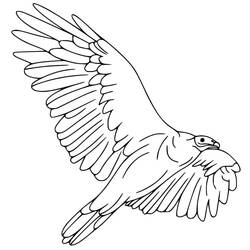 Vulture (Animals) coloring page #205317 to print and color