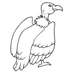 Vulture (Animals) coloring page #205321 to print and color