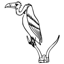Vulture (Animals) coloring page #205322 to print and color