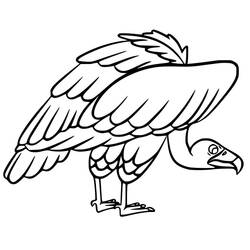 Vulture (Animals) coloring page #205325 to print and color