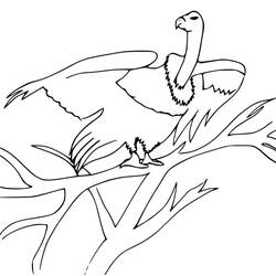 Vulture (Animals) coloring page #205326 to print and color