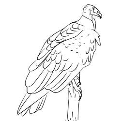 Vulture (Animals) coloring page #205332 to print and color