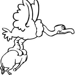Vulture (Animals) coloring page #205335 to print and color