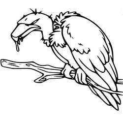 Vulture (Animals) coloring page #205338 to print and color