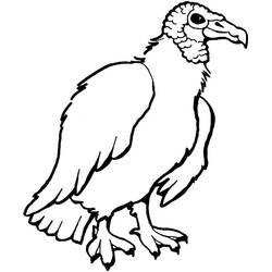 Vulture (Animals) coloring page #205340 to print and color