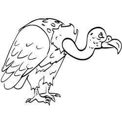 Vulture (Animals) coloring page #205341 to print and color