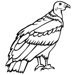 Vulture (Animals) coloring page #205343 to print and color