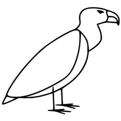 Vulture (Animals) coloring page #205344 to print and color