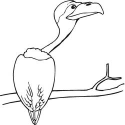 Vulture (Animals) coloring page #205346 to print and color