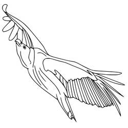 Vulture (Animals) coloring page #205350 to print and color