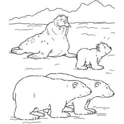 Coloring page: Walrus (Animals) #16474 - Printable coloring pages