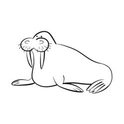 Coloring page: Walrus (Animals) #16480 - Printable coloring pages