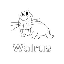 Coloring page: Walrus (Animals) #16501 - Printable coloring pages