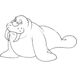 Coloring page: Walrus (Animals) #16507 - Printable coloring pages