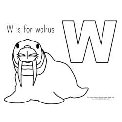 Coloring page: Walrus (Animals) #16543 - Printable coloring pages