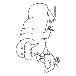 Coloring page: Walrus (Animals) #16548 - Printable coloring pages