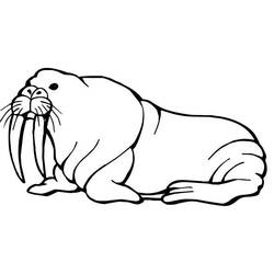 Coloring page: Walrus (Animals) #16562 - Printable coloring pages