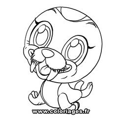 Coloring page: Walrus (Animals) #16585 - Printable coloring pages