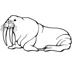 Walrus (Animals) coloring page #208708 to print and color