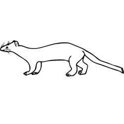 Coloring page: Weasel (Animals) #205429 - Free Printable Coloring Pages