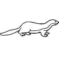 Coloring page: Weasel (Animals) #205431 - Free Printable Coloring Pages