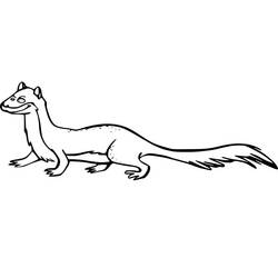 Coloring page: Weasel (Animals) #205433 - Free Printable Coloring Pages