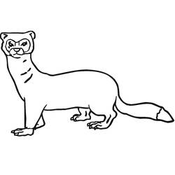 Coloring page: Weasel (Animals) #205434 - Free Printable Coloring Pages