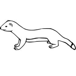 Coloring page: Weasel (Animals) #205447 - Free Printable Coloring Pages