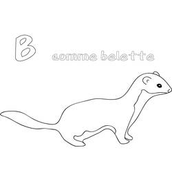 Coloring pages: Weasel - Free Printable Coloring Pages