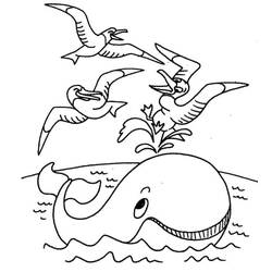 Whale (Animals) coloring page #184680 to print and color
