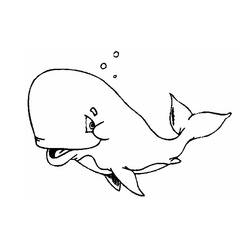 Coloring page: Whale (Animals) #871 - Printable coloring pages