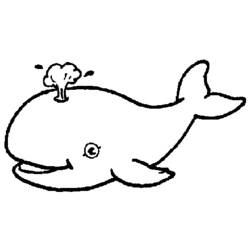 Coloring page: Whale (Animals) #875 - Printable coloring pages