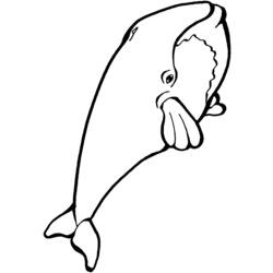 Coloring page: Whale (Animals) #880 - Printable coloring pages
