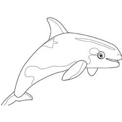 Coloring page: Whale (Animals) #888 - Free Printable Coloring Pages