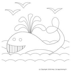 Coloring page: Whale (Animals) #889 - Free Printable Coloring Pages