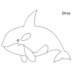 Coloring page: Whale (Animals) #891 - Printable coloring pages