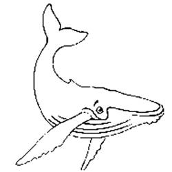 Coloring page: Whale (Animals) #894 - Free Printable Coloring Pages