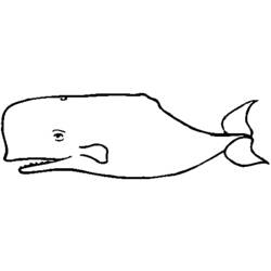 Coloring page: Whale (Animals) #903 - Free Printable Coloring Pages